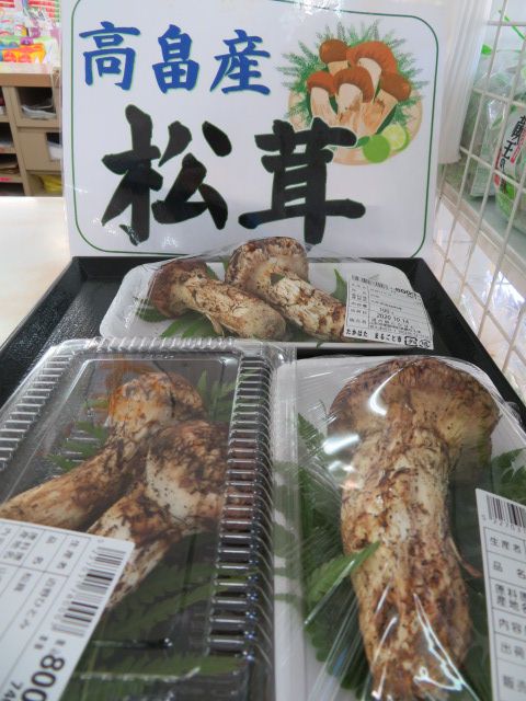 マツタケ、続々入荷中！！