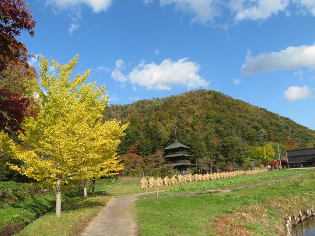 紅葉が見頃になってきました♪
