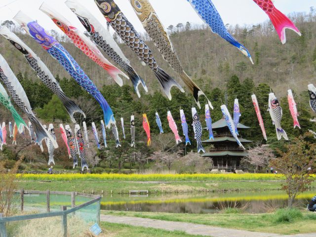 こいのぼりが泳いでます♪