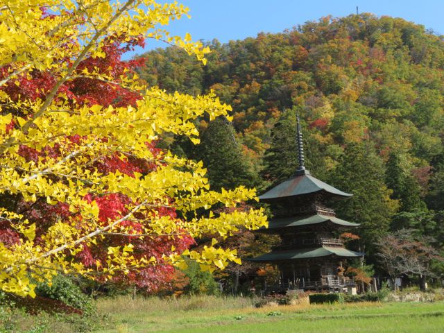 本日の紅葉♪♪