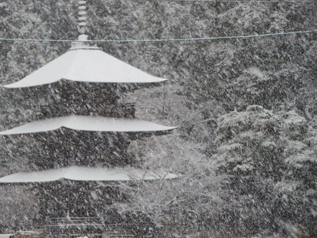初雪！