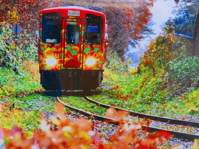 写真展開催中です♪