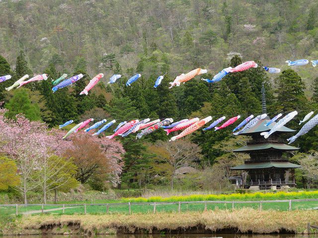 こいのぼり、泳いでます♪