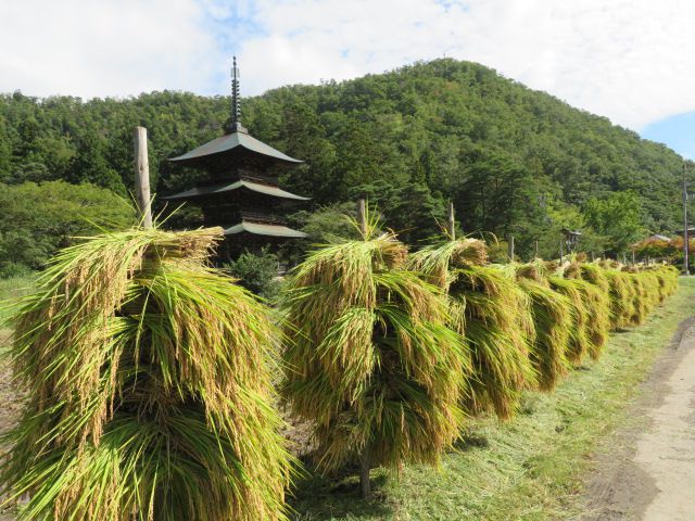 稲杭のある風景