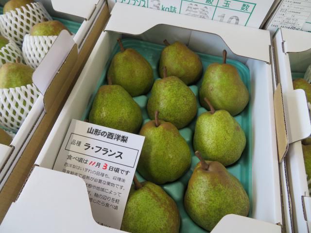 ラ・フランス販売開始しました！
