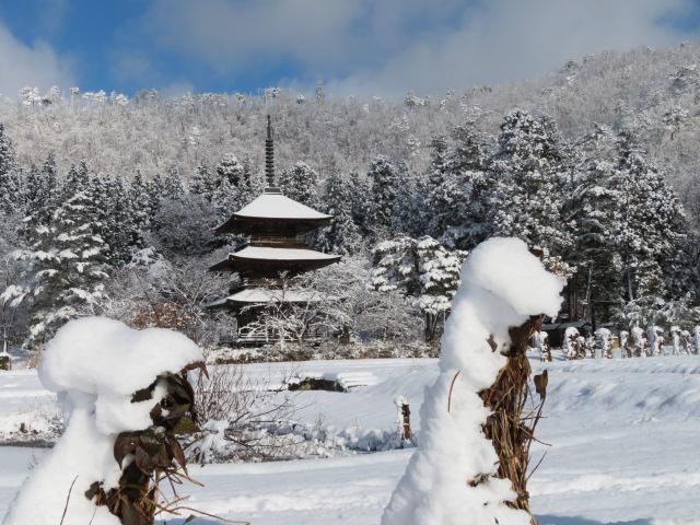冬の三重塔