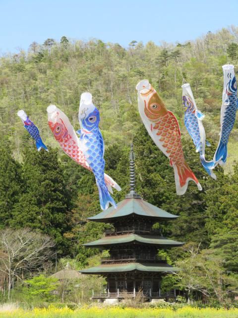 こいのぼり、泳いでますヨ～♪