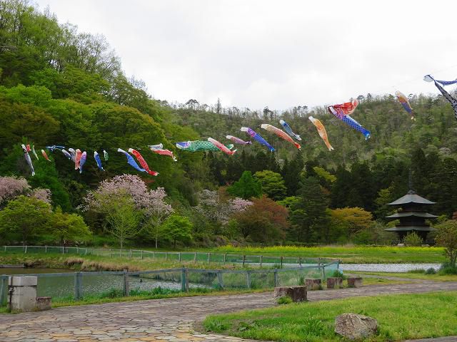 歴史公園　鯉のぼり