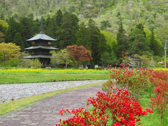 春の三重塔