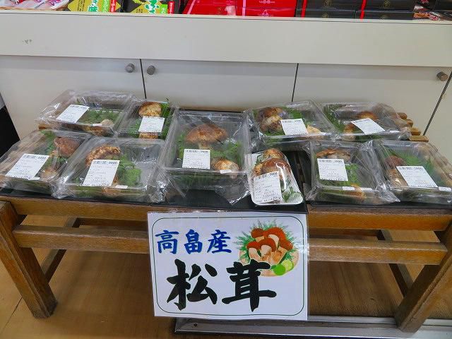 『松茸』入荷始まりました！！