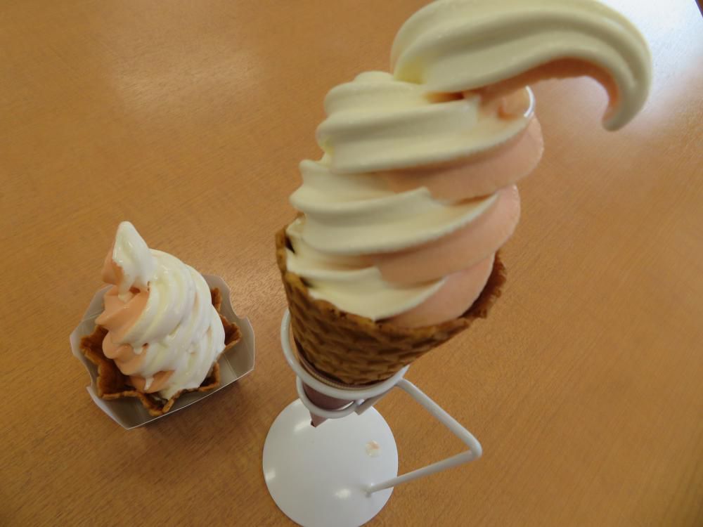 夏と言ったらソフトクリーム♪♪