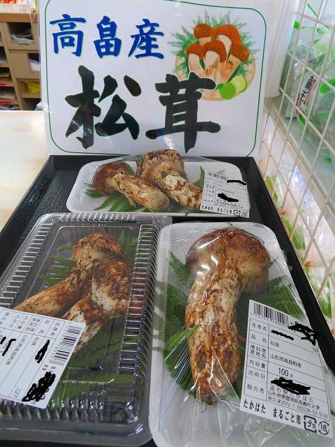 松茸、入荷し始めました♪