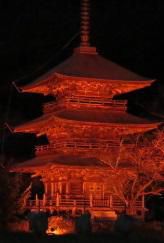 三重塔がライトアップされています