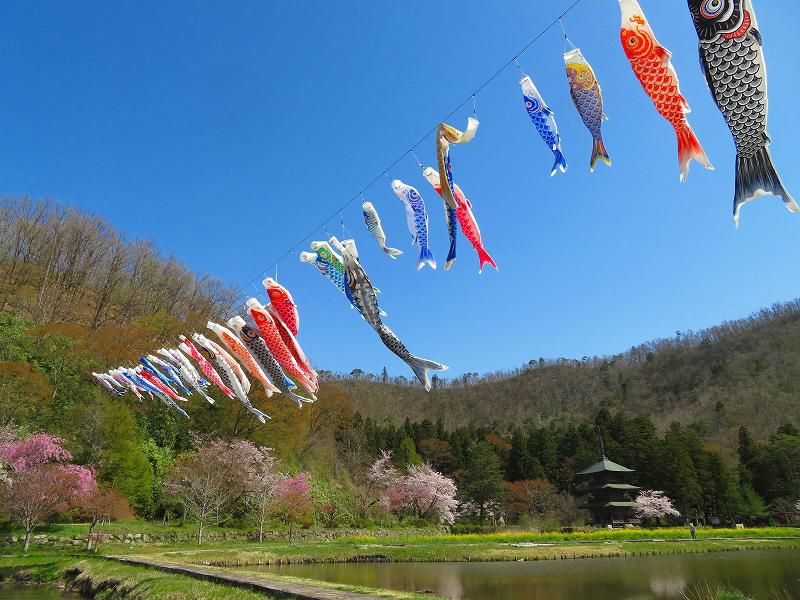 こいのぼり、泳いでますよ～♪