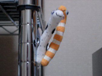 沖縄からはるばる