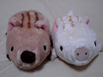 うり坊☆