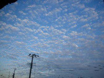 うろこ雲
