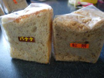 お友達が来たので