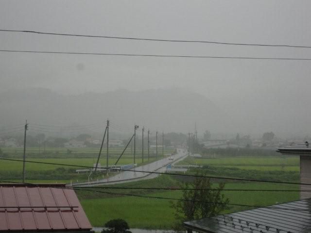 雷
