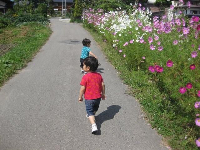 秋です