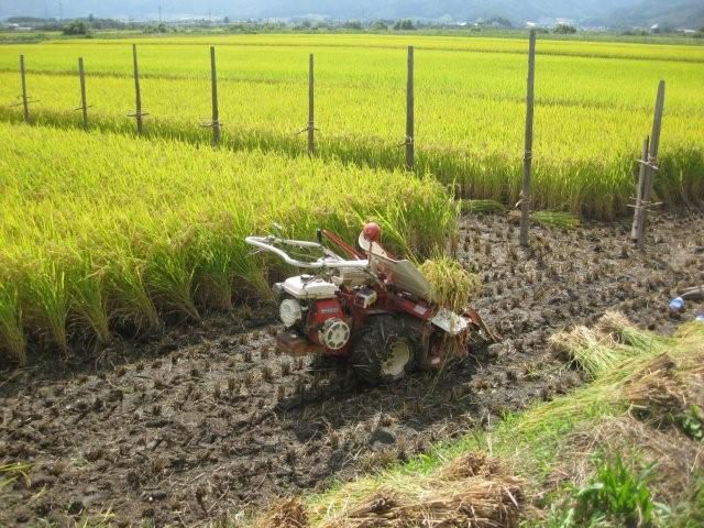 秋ですねぇ