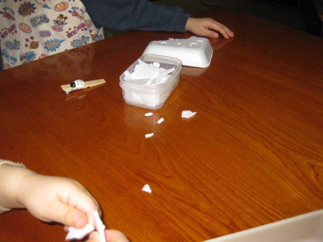 食品トレイ