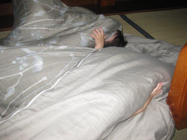 こたつ布団の下に…