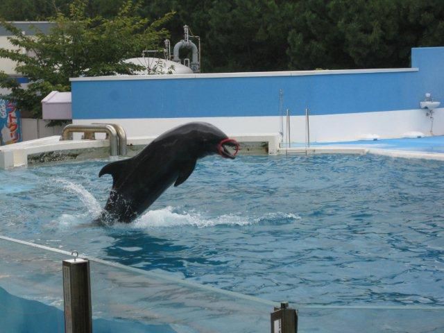 新潟旅行記　その３
