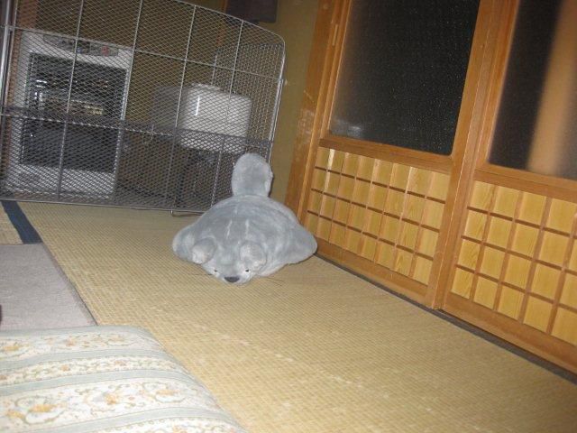 仕事