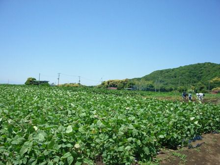 三浦半島まくまく日記③