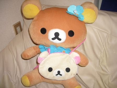 またまた新しいクマが・・