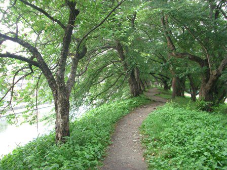 まくまく山形旅行記⑬