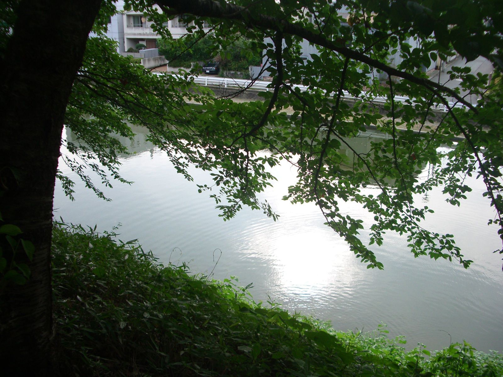 まくまく山形旅行記⑭