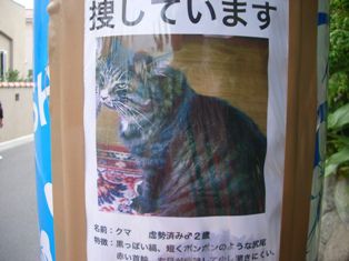 クマつながり
