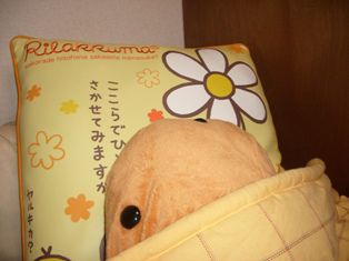ダルダル日記