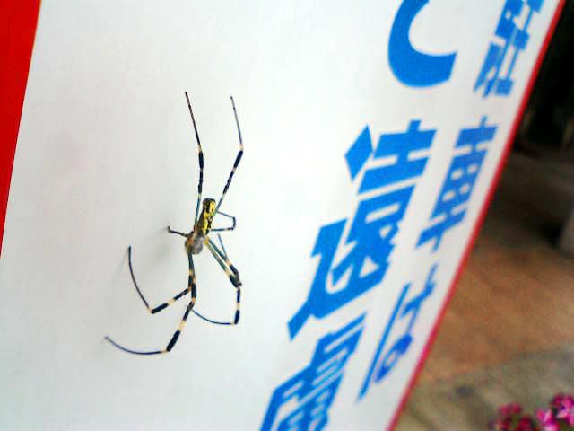 文翔館に遊ぶ。