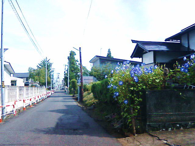 今朝の神明片町