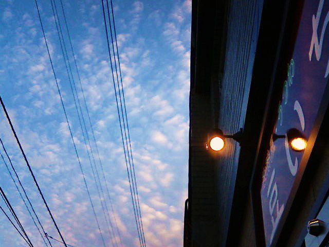 女心と秋の空、、、