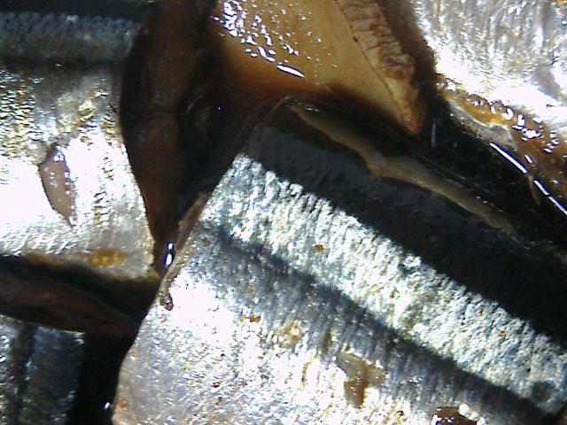 旬、秋刀魚、甘露煮、食らう！