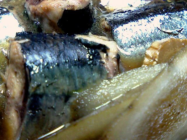 青魚とアイスランド