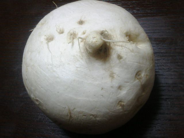大きなかぶ、