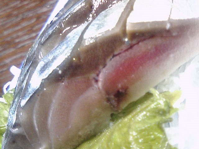 旨し〆鯖！