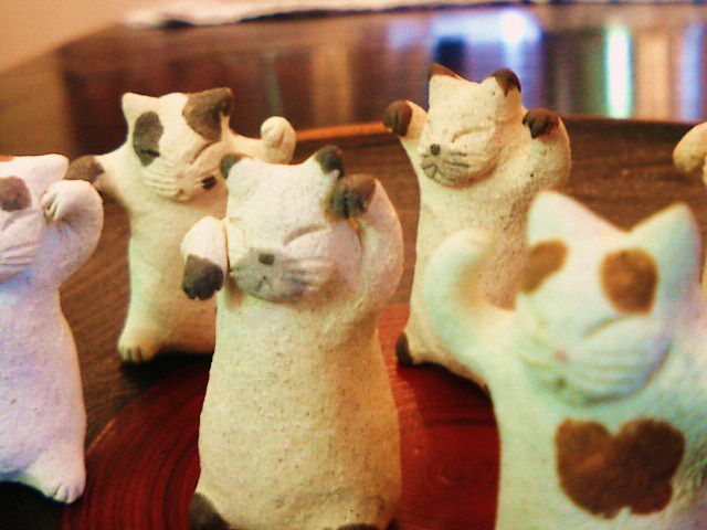 やっぱり猫が好き？