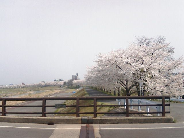 鳥取りの系譜。