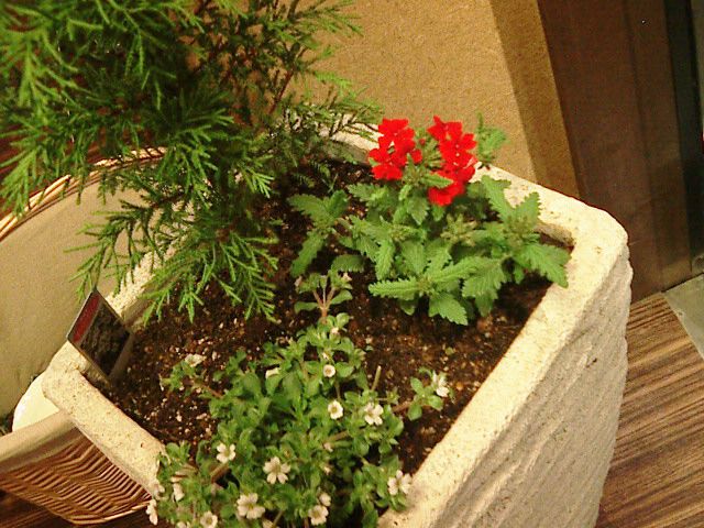 私お芝居が好きなんです！