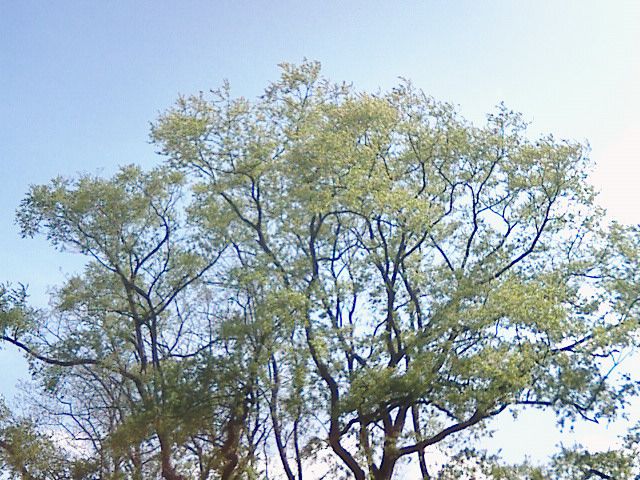 神様はないだろう！！