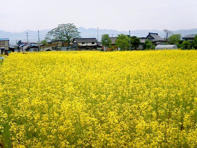通町にもこんな素敵な、、、