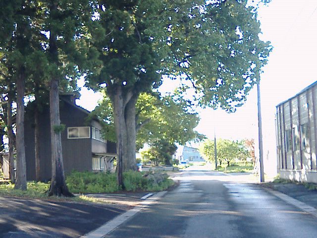 談志を聞きにいきたいなぁー。