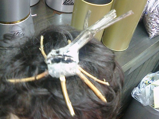 かぶと虫、頭に止まる。