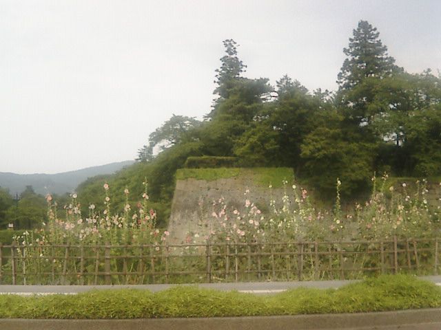 街道を行く。